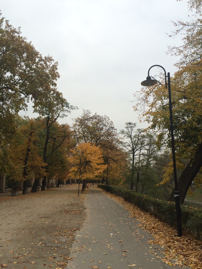 Yes, this is pretty common in a lot of towns, but hey.